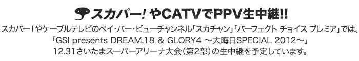 スカパー！やケーブルテレビのペイ・パー・ビューチャンネル「スカチャン」「パーフェクト チョイス プレミア」では、「GSI presents DREAM.18＆GROLY4〜大晦日SPECIAL 2012〜」12.31さいたまスーパーアリーナ大会（第2部）の生中継を予定しています。